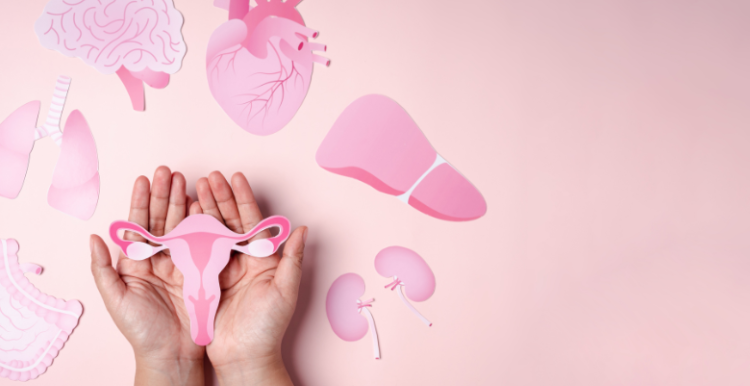 a hand holding a card with an image of women's reproductive organs next to cards of other organs