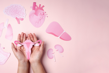 a hand holding a card with an image of women's reproductive organs next to cards of other organs